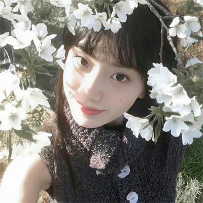 忘川茶舍之兽神诅咒